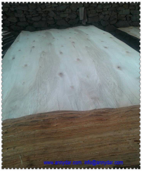 4X8 whole sheet eucalyptus veneer for core 