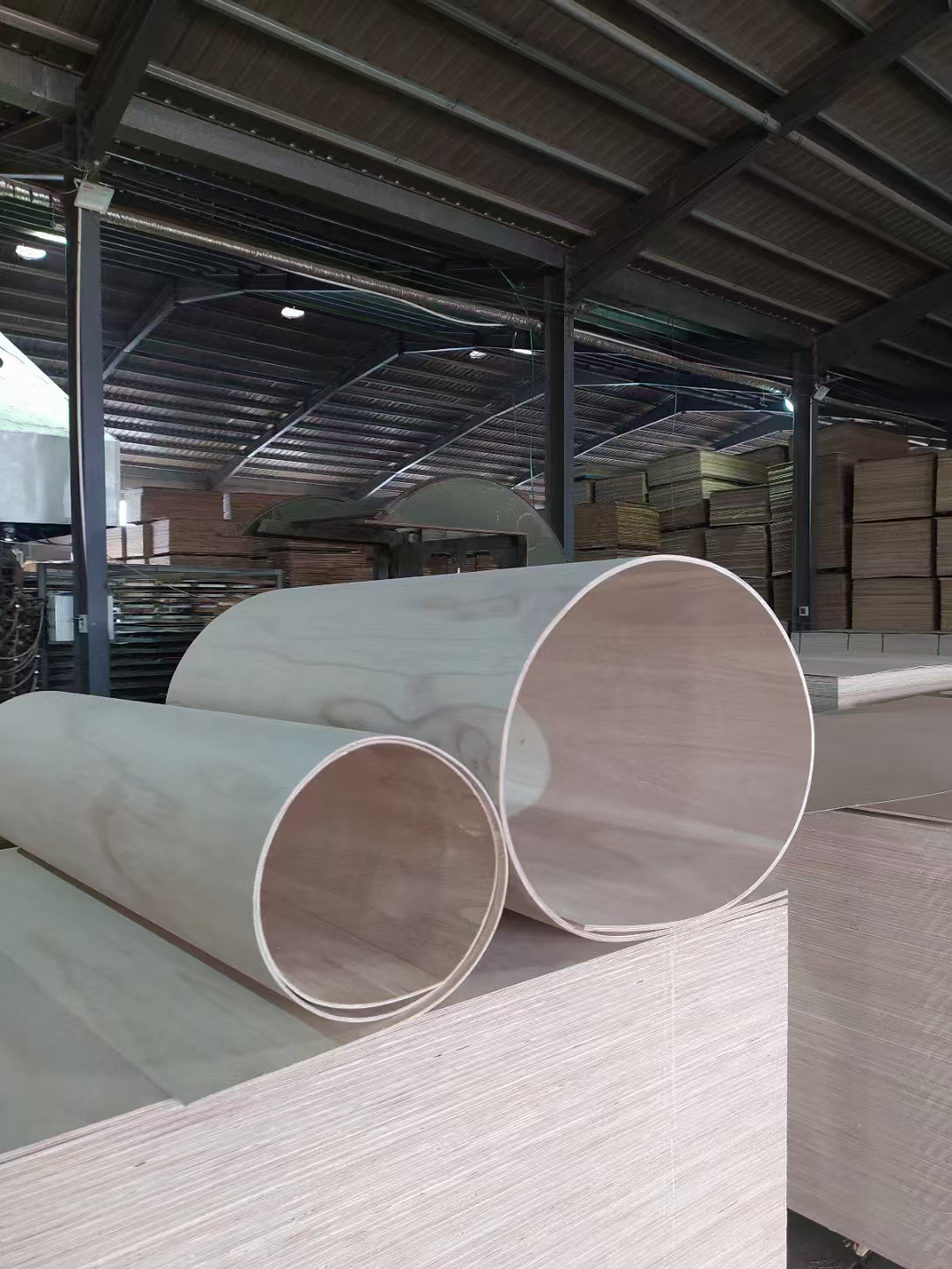 paulownia bending plywood 